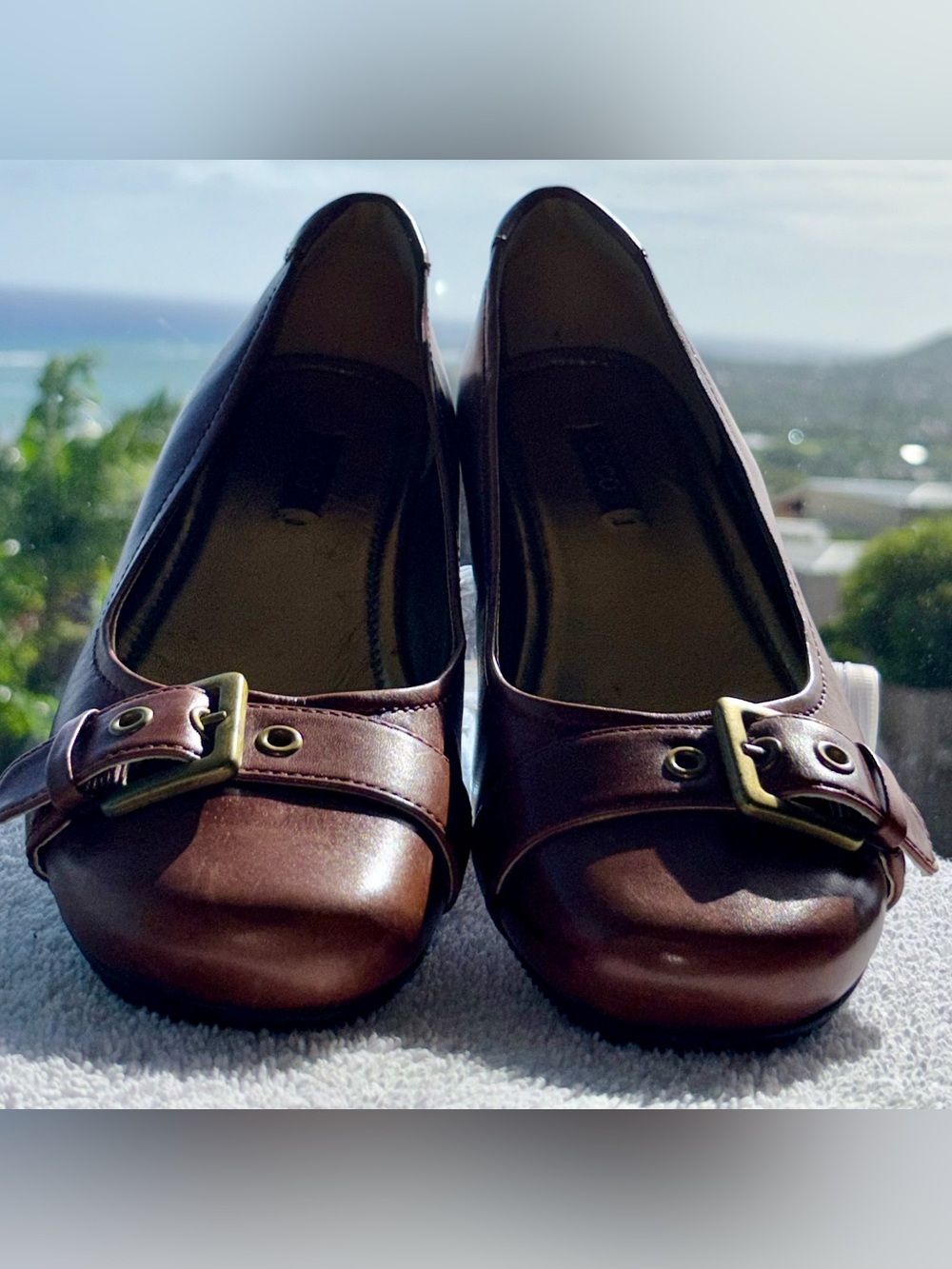 Classic Ecco Brown Women's Ballet Flats with gold Buckle, 8.5,likenew